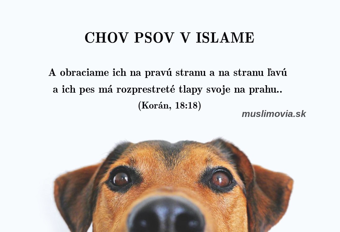 Chov psov v islame, Korán