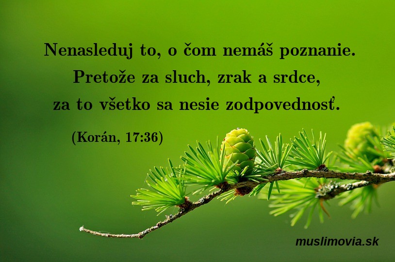 Islam, poznanie 17:36